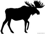 Moose group 2