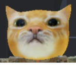 Military cat gang