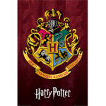 The Harry Potter Fan Group :)