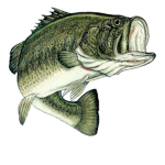Extreme Fishermens freshwater group