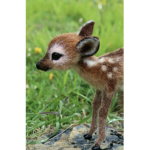 My baby deers