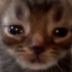 disfjgkjerng