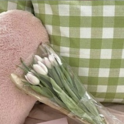 ✧˚ ⋆🌿🎀｡