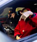 (BBH) BABYBLOODHOUND