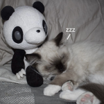 mewder