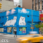 CCS COOL CLOTHING STORE