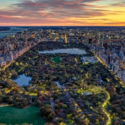 Central Park icon