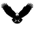 Black Eagle Covert Ops