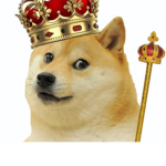 doge club official