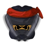 Ninja Toasty