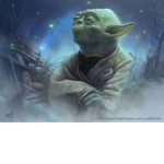 Yoda de 8 anos