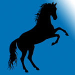 Blu Corp.