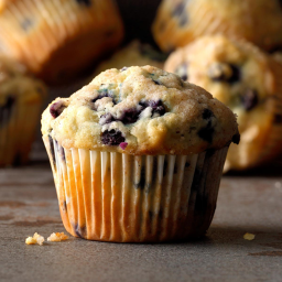 BlueBerryMuffinStudios Hangout