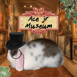 THE ACE JR EXPERIENCE