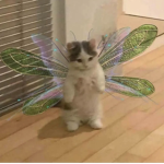 AIyssa’s CIothing