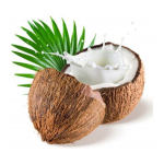 Coconut Boys And Girls