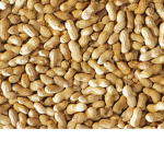 The Peanut Friends