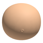 belly