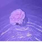 <33