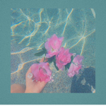 AestheticDreàmz