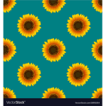 The sunflower’s squad