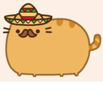 MaxCatz Fan Group!
