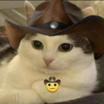 be a country singer tycoon