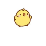 Chicks fam!