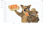 Ci piacciono i cani e gatti col sushi cinese