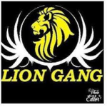 Lion/gang/giveaway