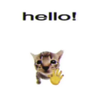 hi