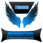 BASOR Training Division