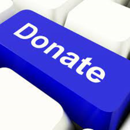 Donate or Buy Catalog Items from my game