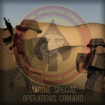 | Marine Corps Forces Special Operations Command |
