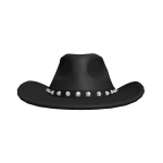 Queen Bee Cowboy Hat