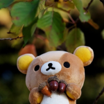 /kwumas