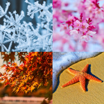 All Seasons