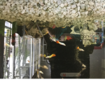 Fishdom is my fish