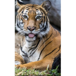 Scientific Wild animal Department