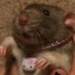 mero-mero