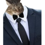 FatCats Studios