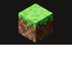 Minecraft Group 2