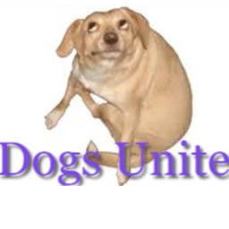 Dogs Unite Raiding Home!