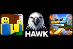 Hawk Studio Development