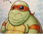 Obese tortoises