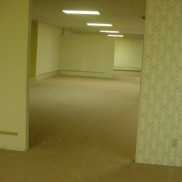 Untitled Backrooms Game