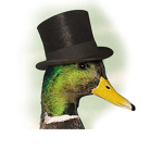 Top Hat Trolls