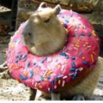 Capybara Embacy