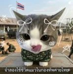 royal thailand army [RTX] Group Thumbnail