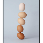 Eggs_Unite